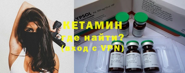 крисы Баксан