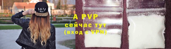 крисы Баксан