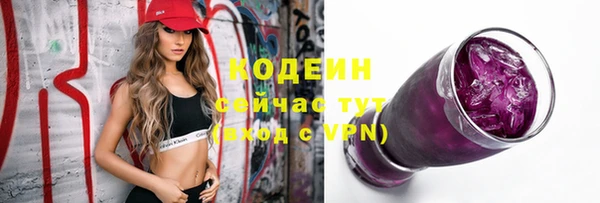 крисы Баксан