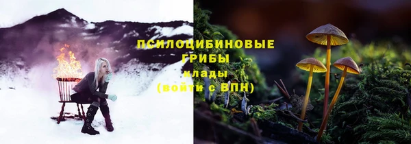 ПСИЛОЦИБИНОВЫЕ ГРИБЫ Балахна