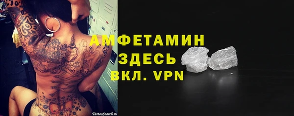 крисы Баксан