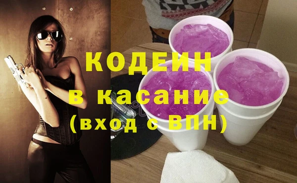 крисы Баксан